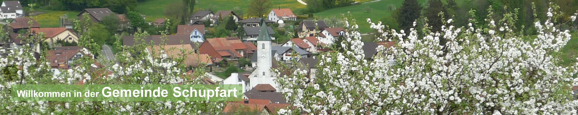 fruehling